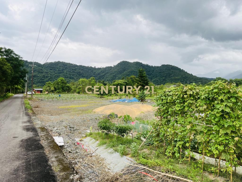 LC126大進足坪農地