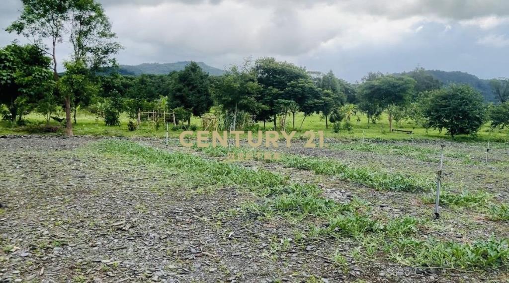 LC126大進足坪農地