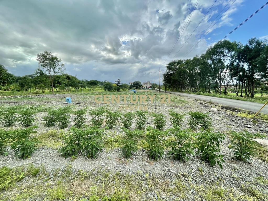 LC126大進足坪農地