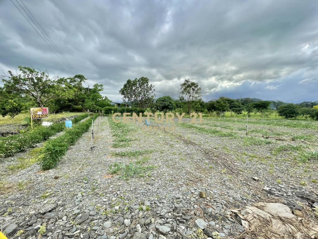 LC126大進足坪農地