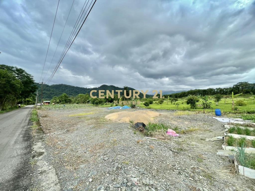 LC126大進足坪農地