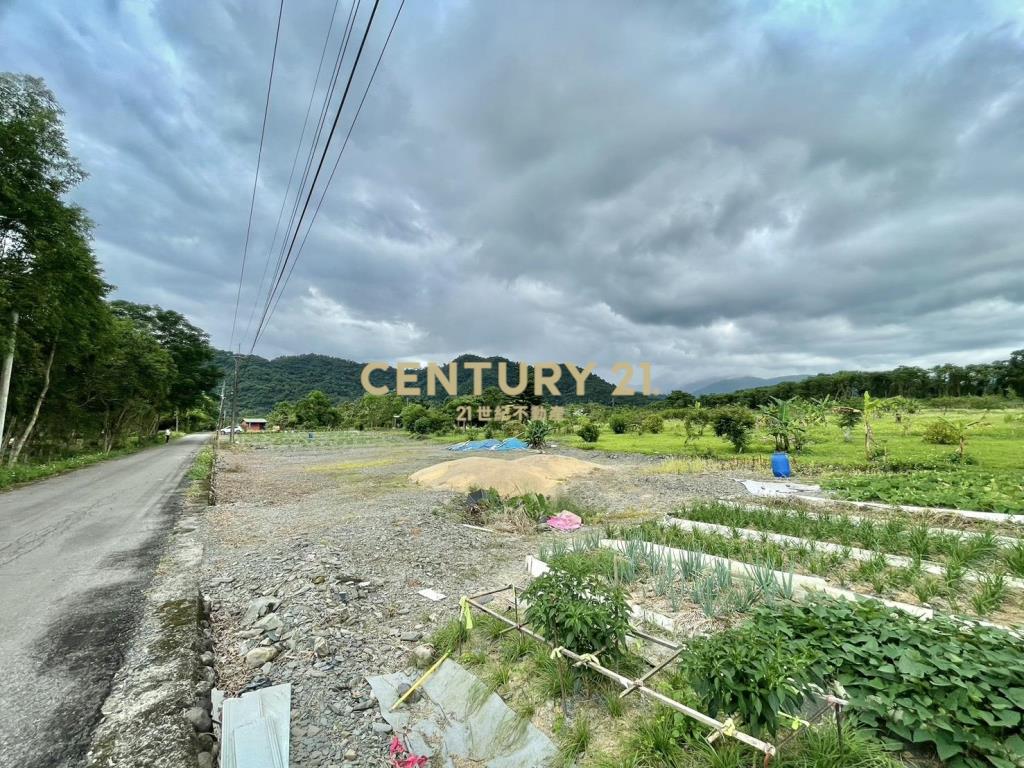 LC126大進足坪農地