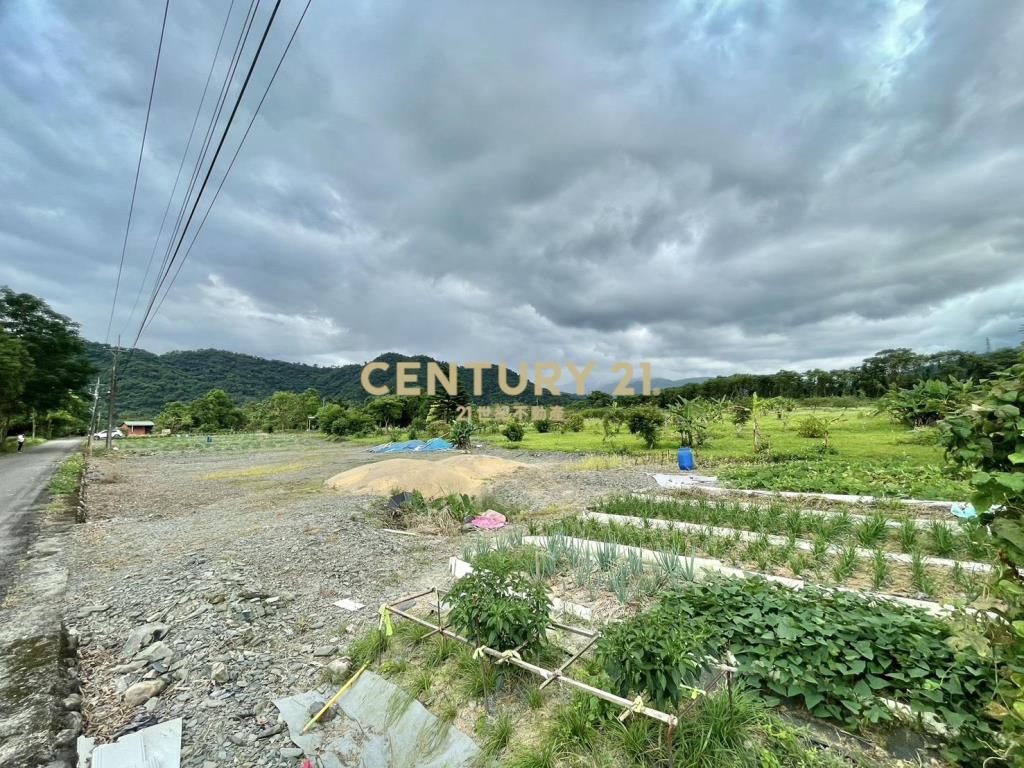 LC126大進足坪農地