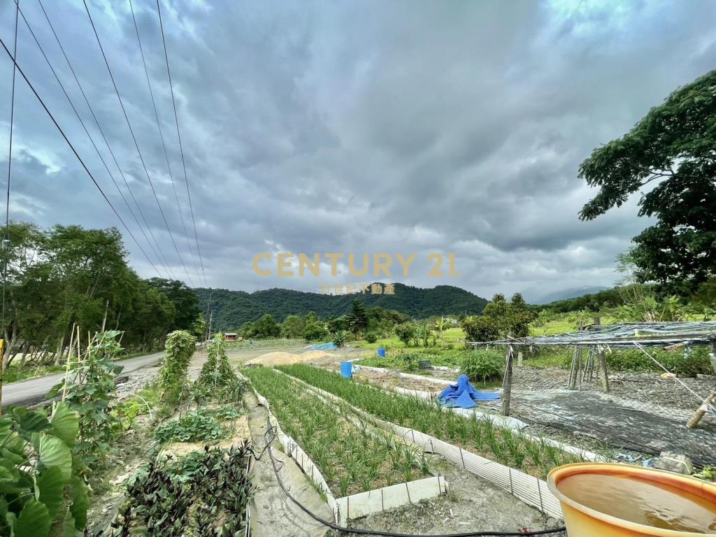 LC126大進足坪農地