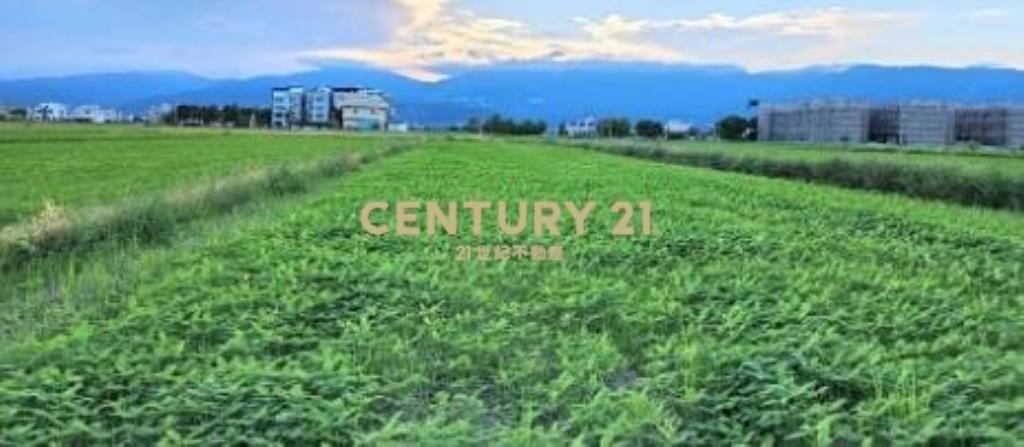 DE128壯圍美城資材室