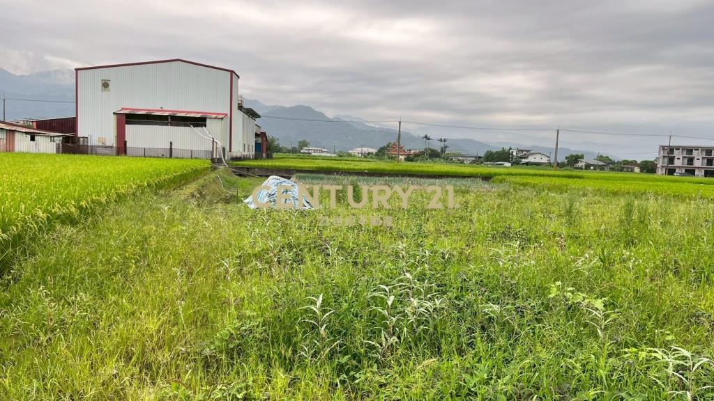 DE131三星萬貴田園美景農舍