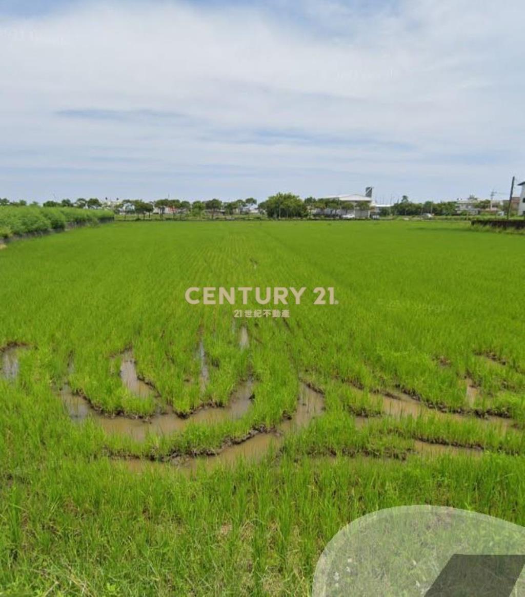 GC399壯圍五美千坪大面寬農地