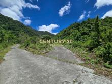 LC132東澳三面臨路足坪美農地