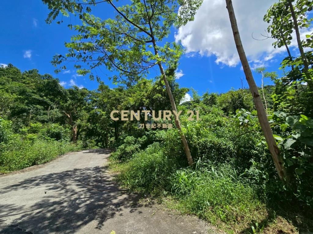 LC132東澳三面臨路足坪美農地