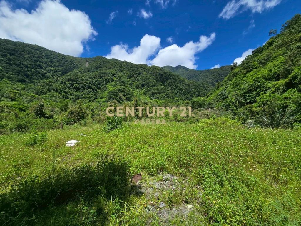 LC132東澳三面臨路足坪美農地