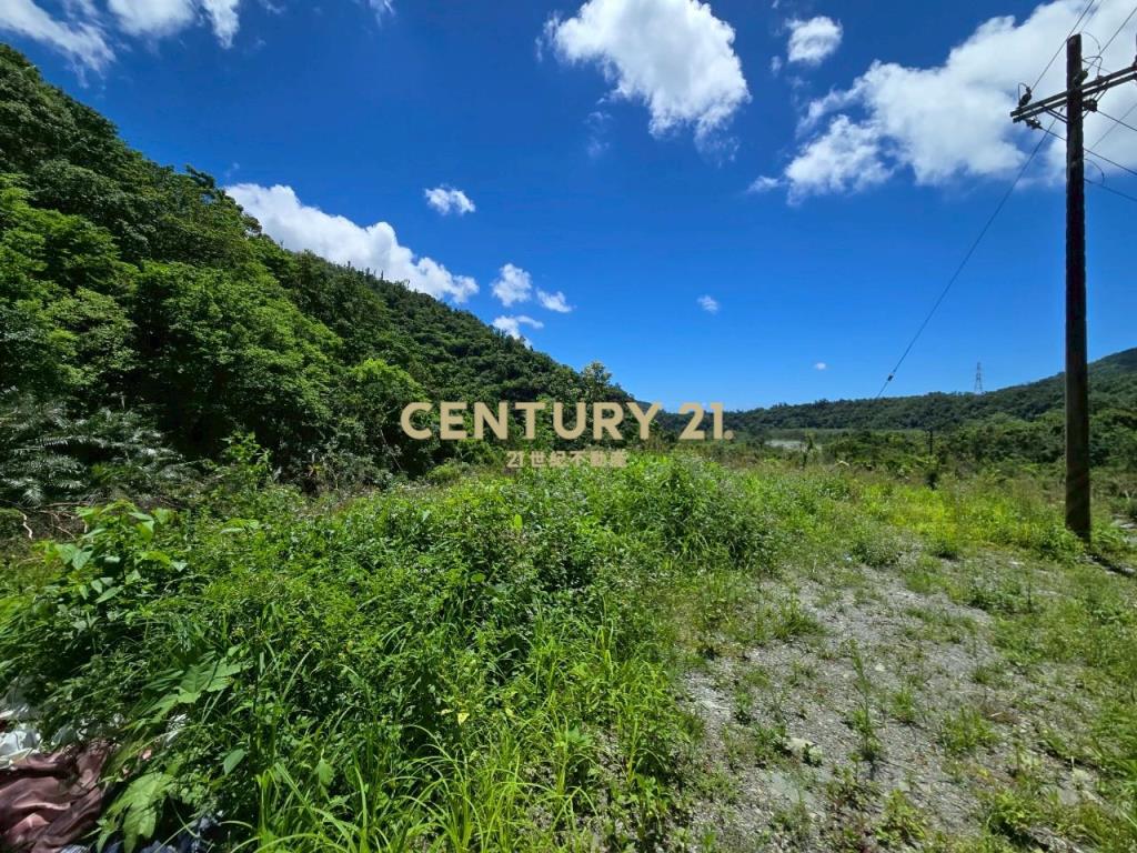 LC132東澳三面臨路足坪美農地