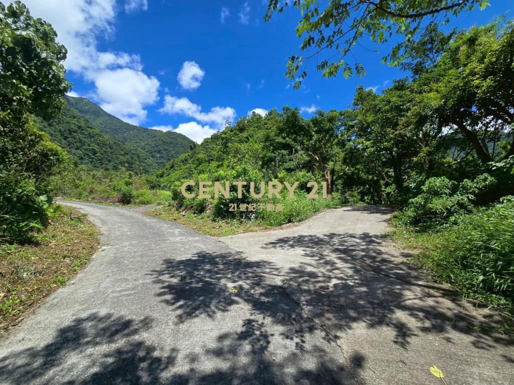 LC133東澳臨路低總價農地