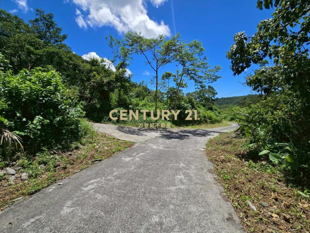 LC133東澳臨路低總價農地