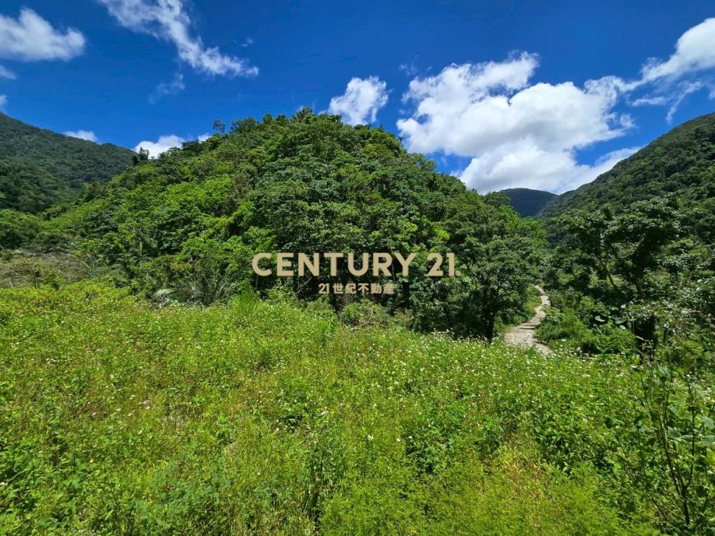 LC133東澳臨路低總價農地