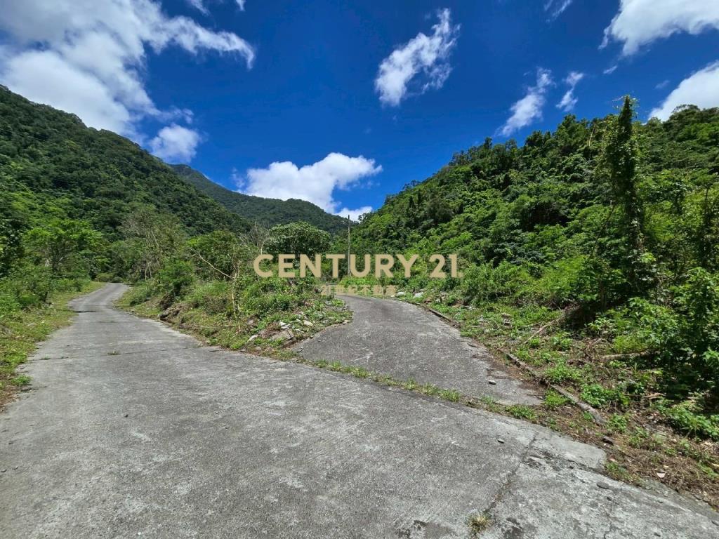 LC133東澳臨路低總價農地