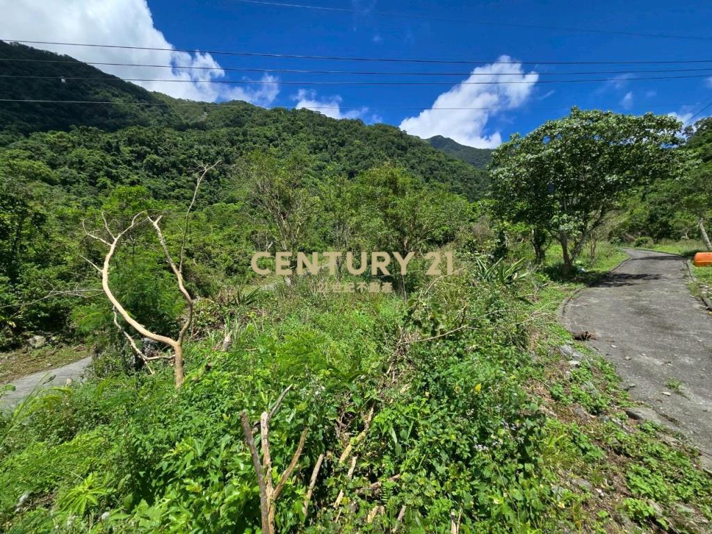 LC133東澳臨路低總價農地