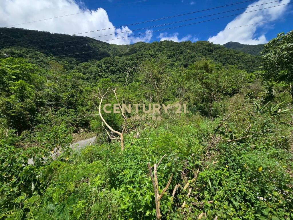 LC133東澳臨路低總價農地