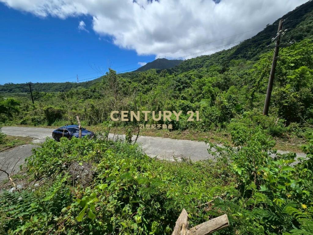 LC133東澳臨路低總價農地