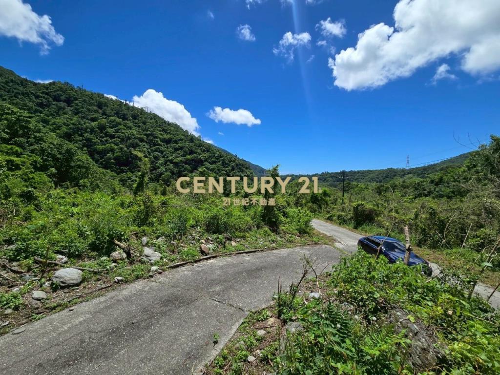 LC133東澳臨路低總價農地