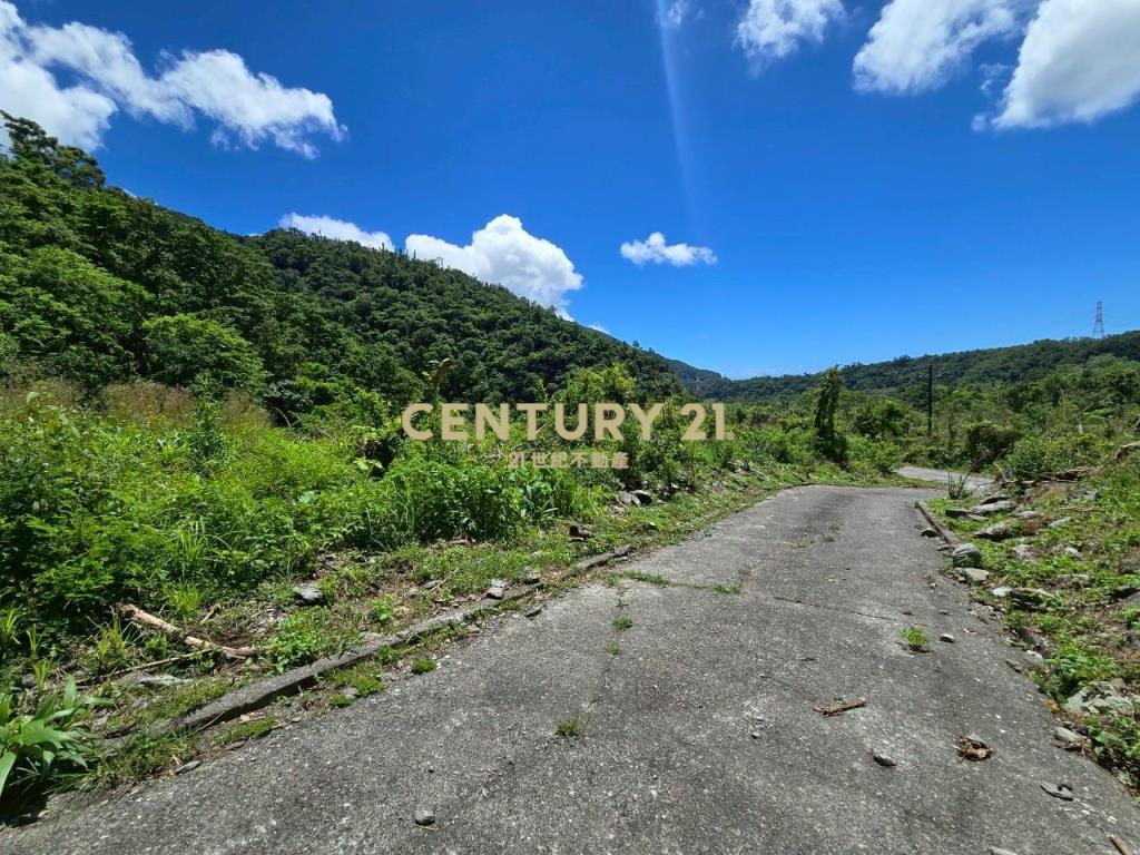 LC133東澳臨路低總價農地