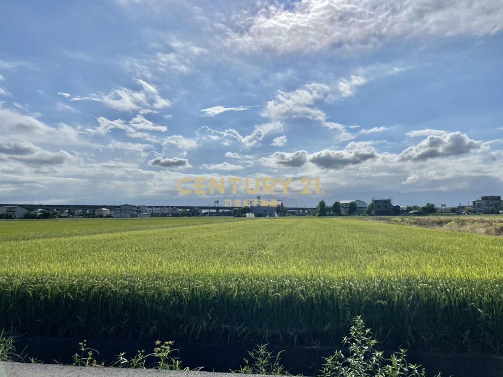 LC134近國五中興足坪美農地