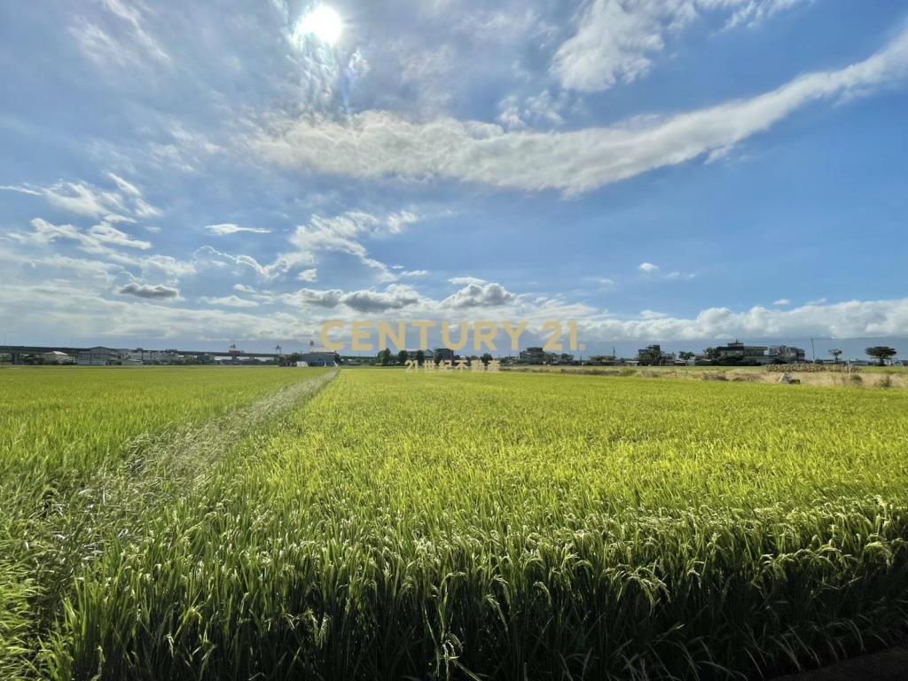 LC134近國五中興足坪美農地