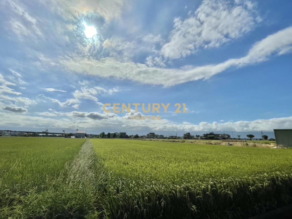 LC134近國五中興足坪美農地