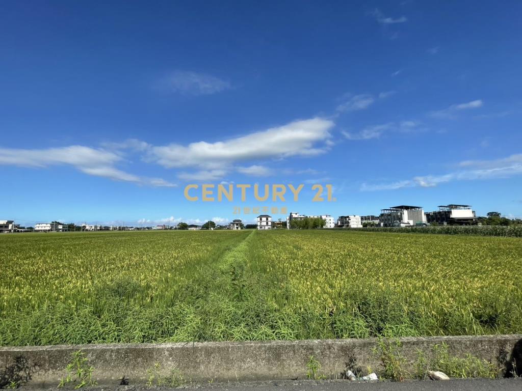 LC134近國五中興足坪美農地
