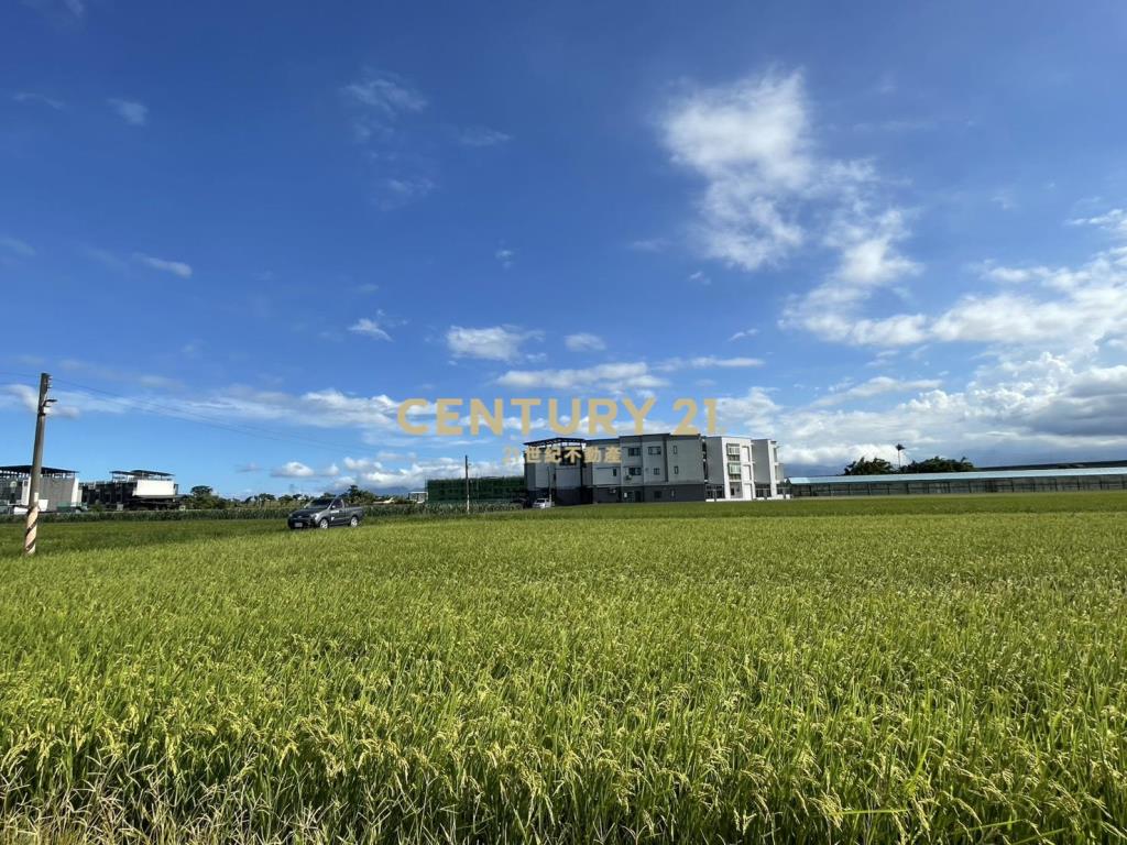 LC134近國五中興足坪美農地