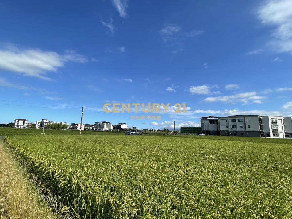 LC134近國五中興足坪美農地