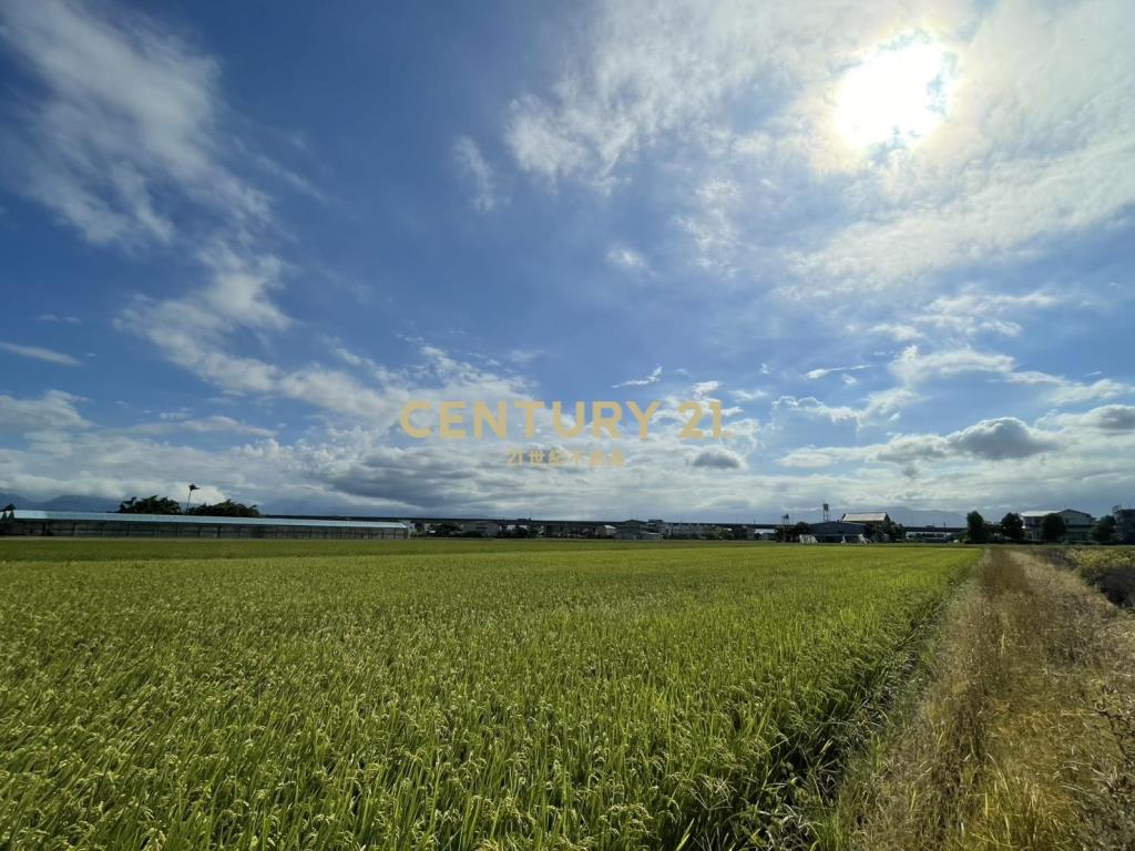 LC134近國五中興足坪美農地