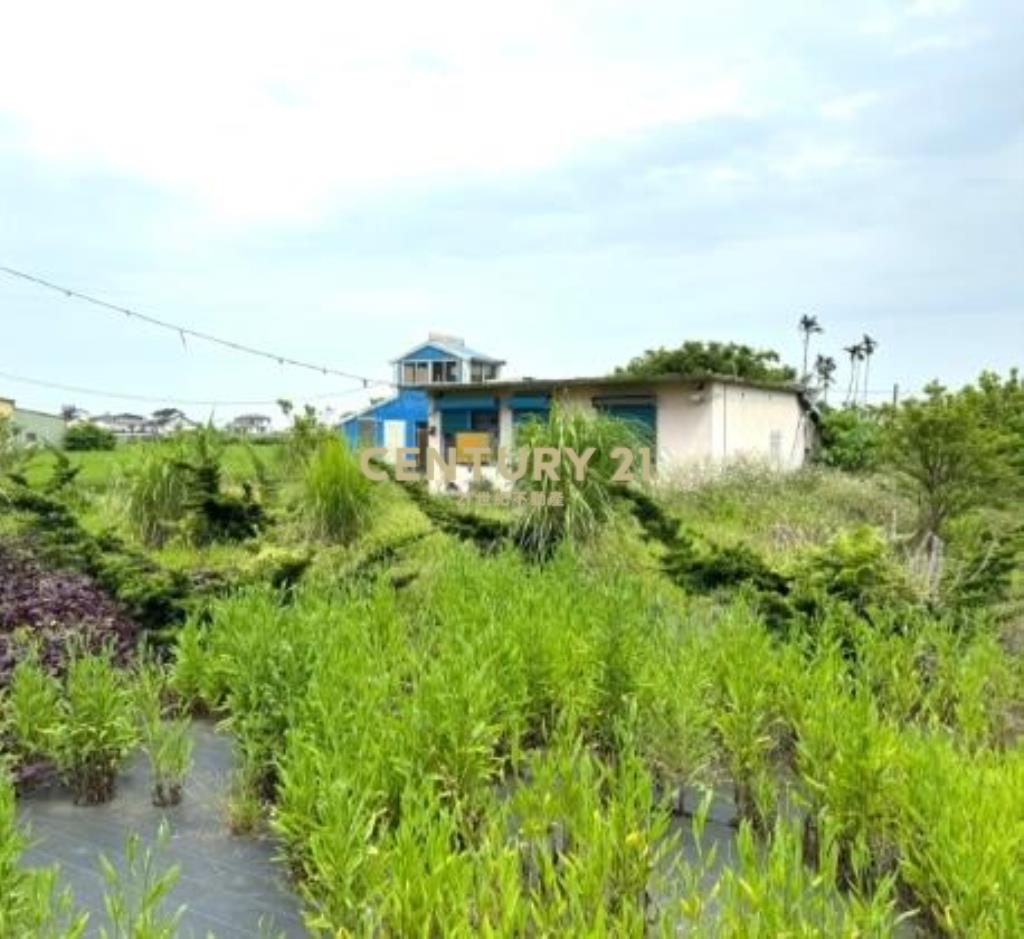 DE133員山大面寬農舍