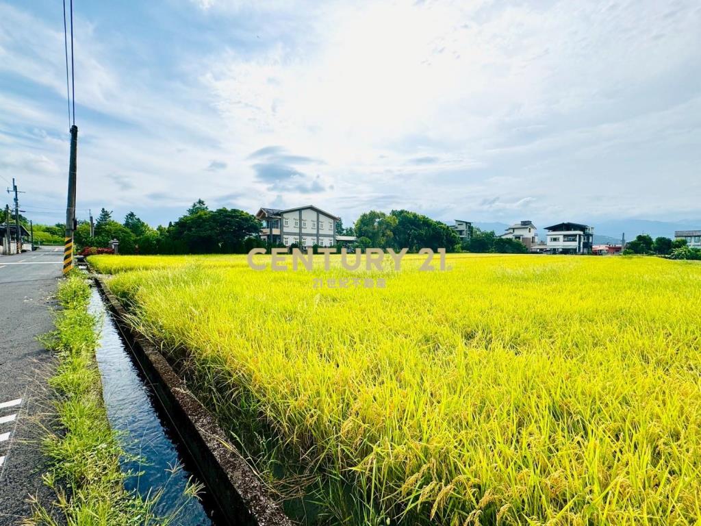 LC138近深洲大道小農地