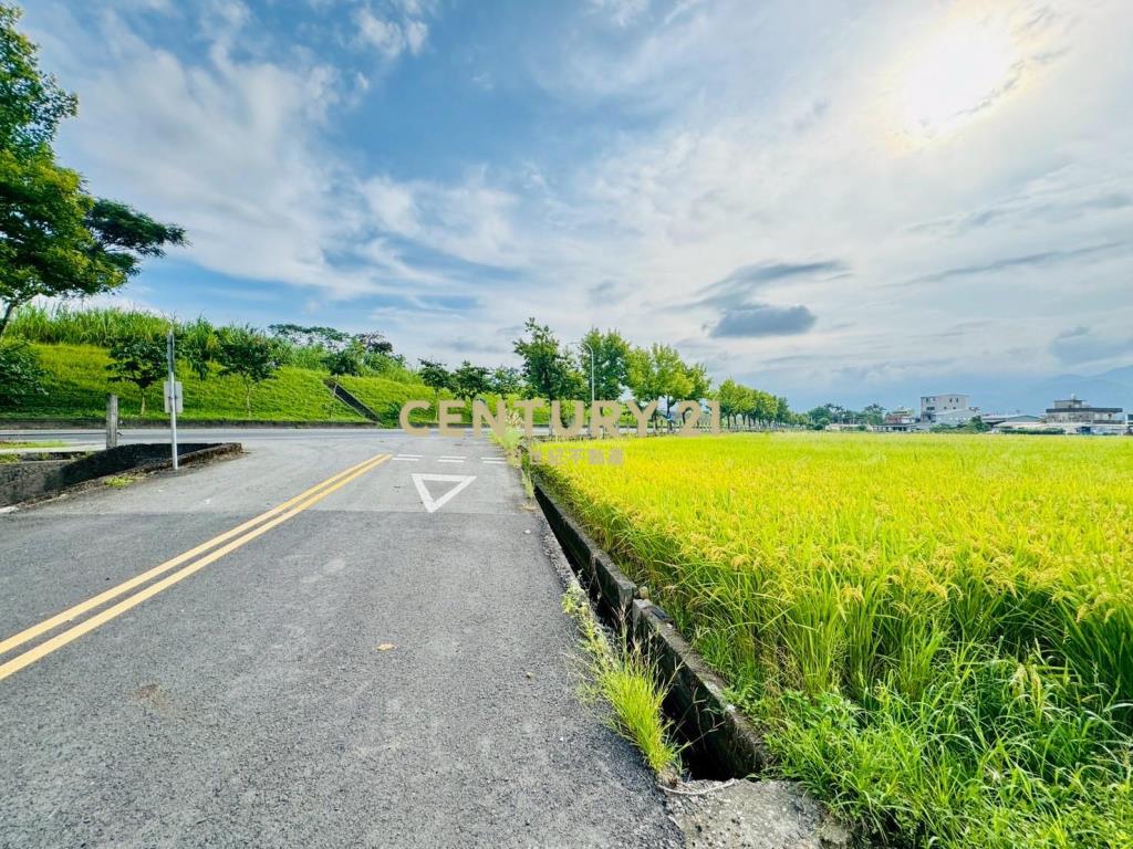 LC138近深洲大道小農地