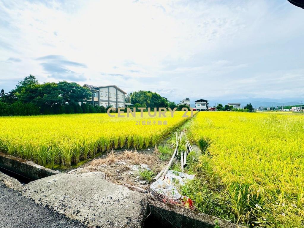 LC138近深洲大道小農地