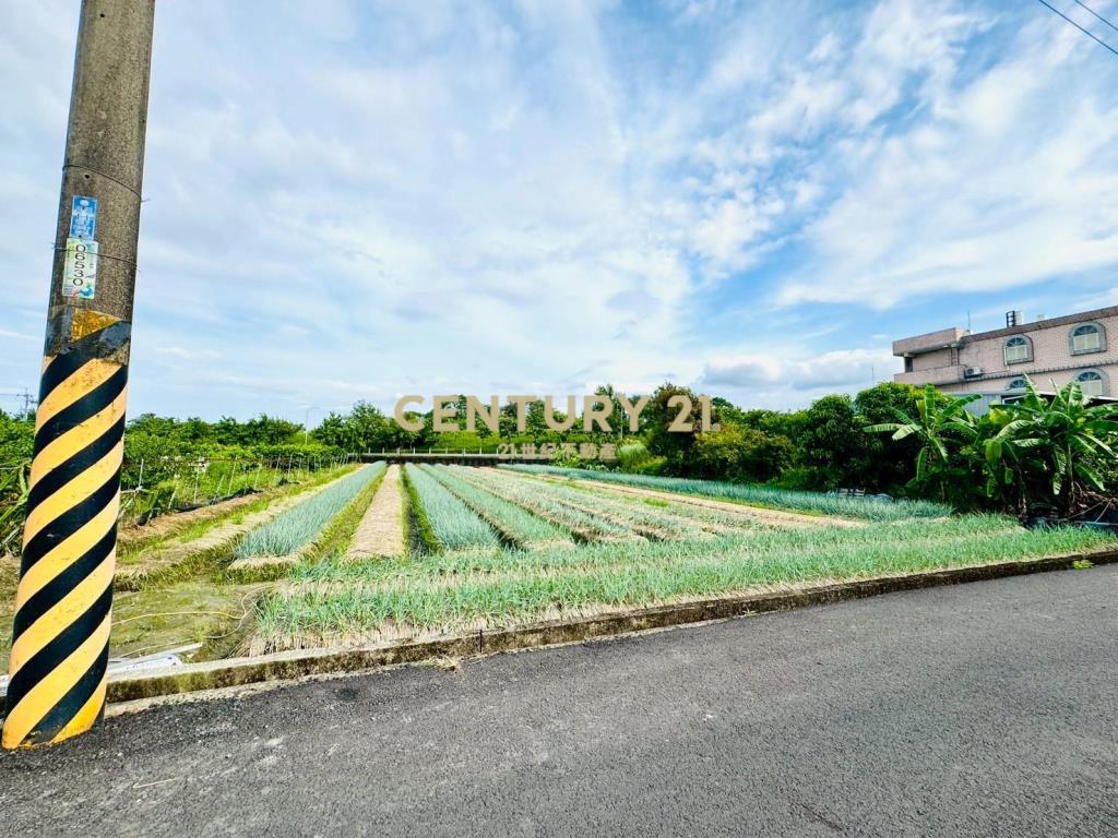 LC138近深洲大道小農地