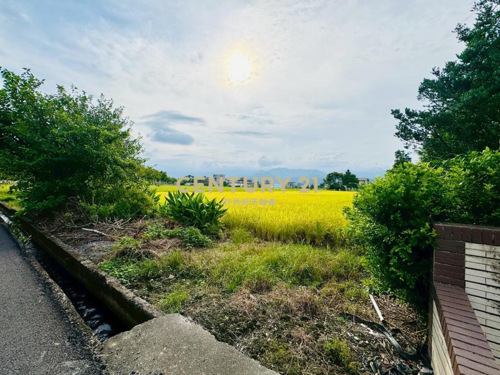 LC138近深洲大道小農地