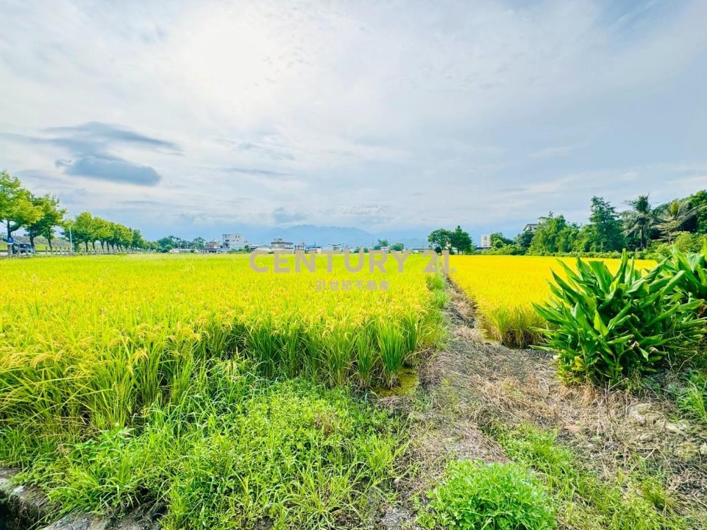 LC138近深洲大道小農地