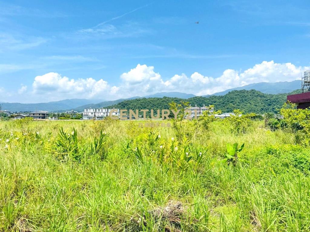 LD035四城都內農建地