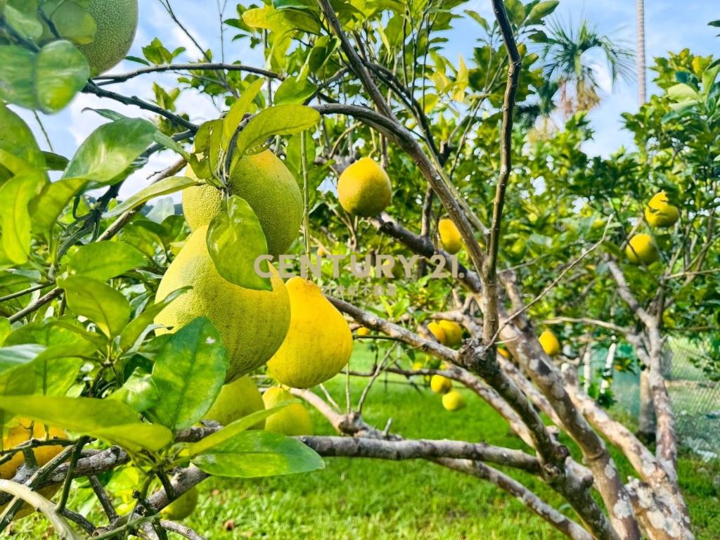 LE029大湖映山居-溫馨農舍