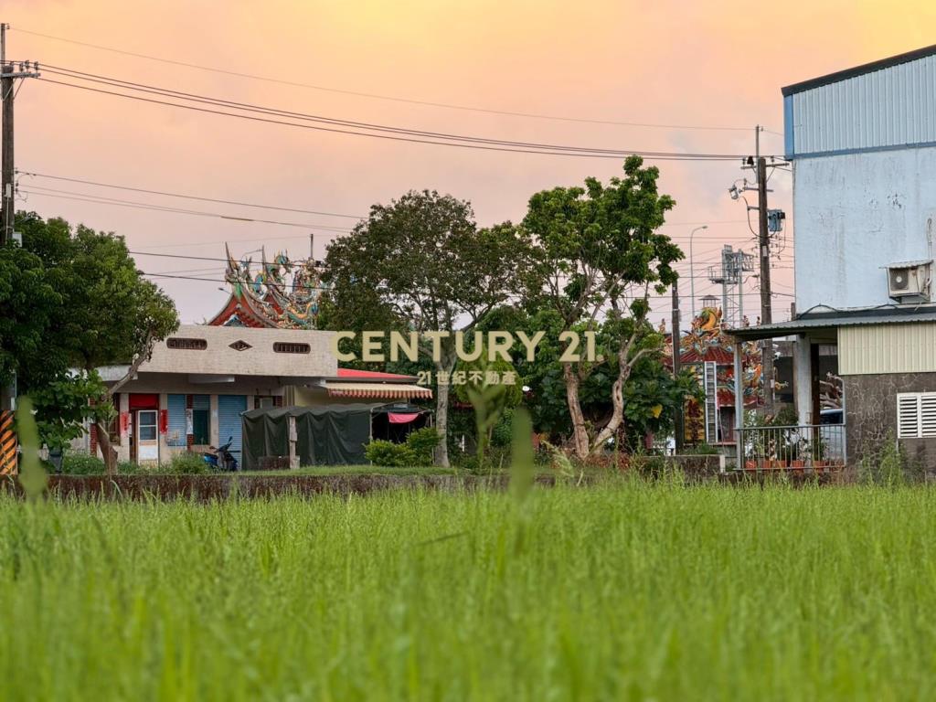 LC147實踐國五旁農地