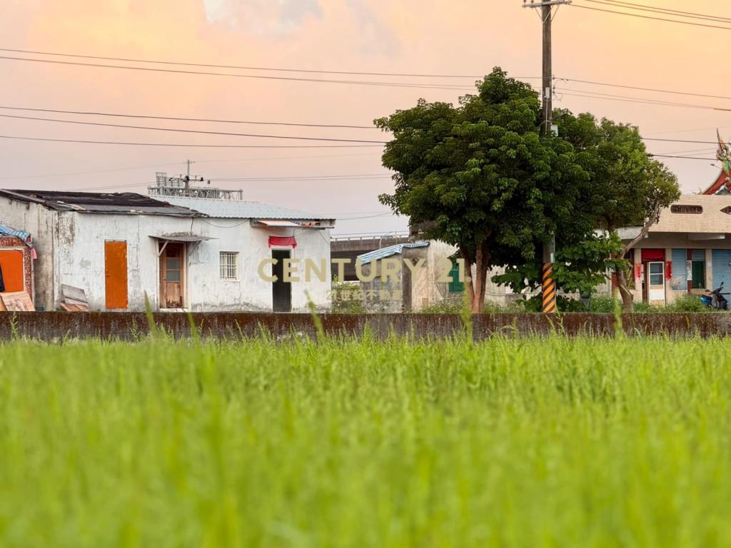 LC147實踐國五旁農地