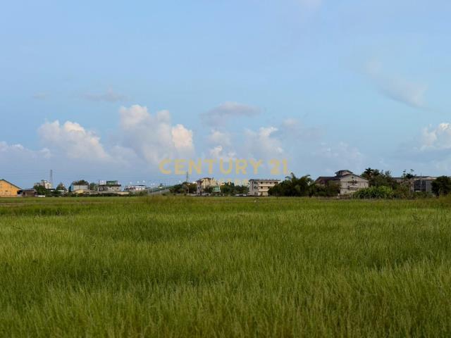 LC148茭白段都計內大面寬足坪農地