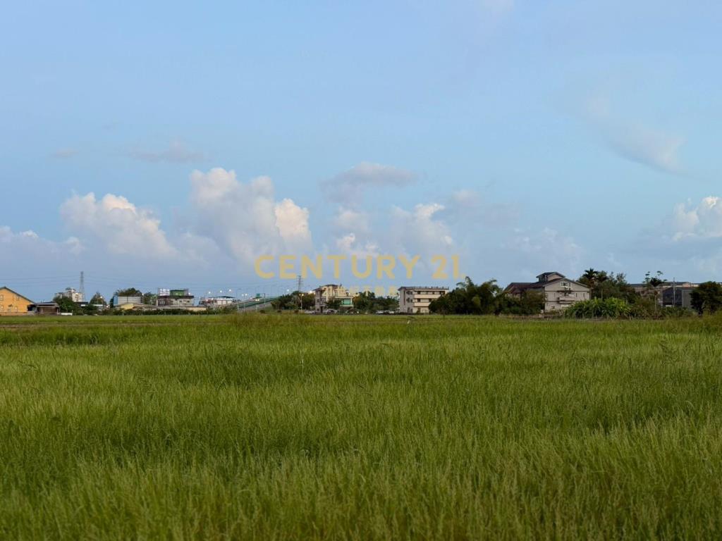 LC148茭白段都計內大面寬足坪農地