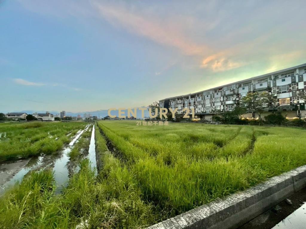 LC148茭白段都計內大面寬足坪農地