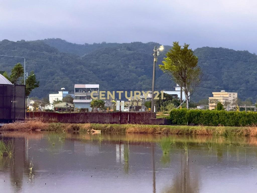 LC148茭白段都計內大面寬足坪農地