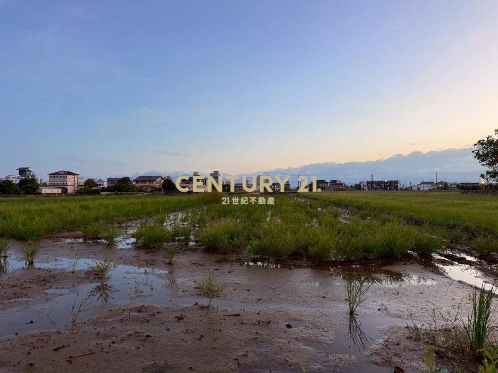 LC148茭白段都計內大面寬足坪農地