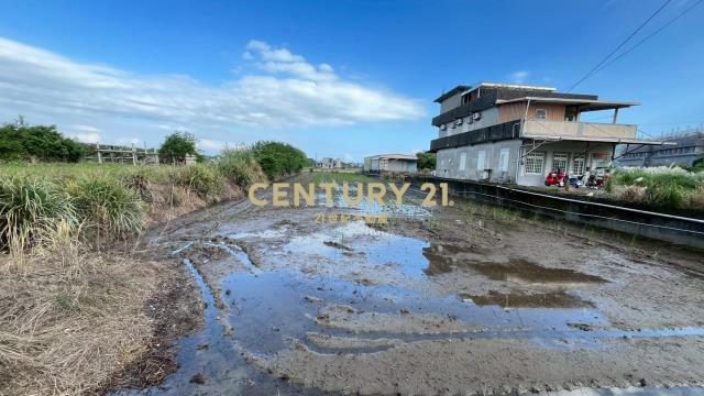 DC512蘇澳近濱海公路6米路旁方正美農