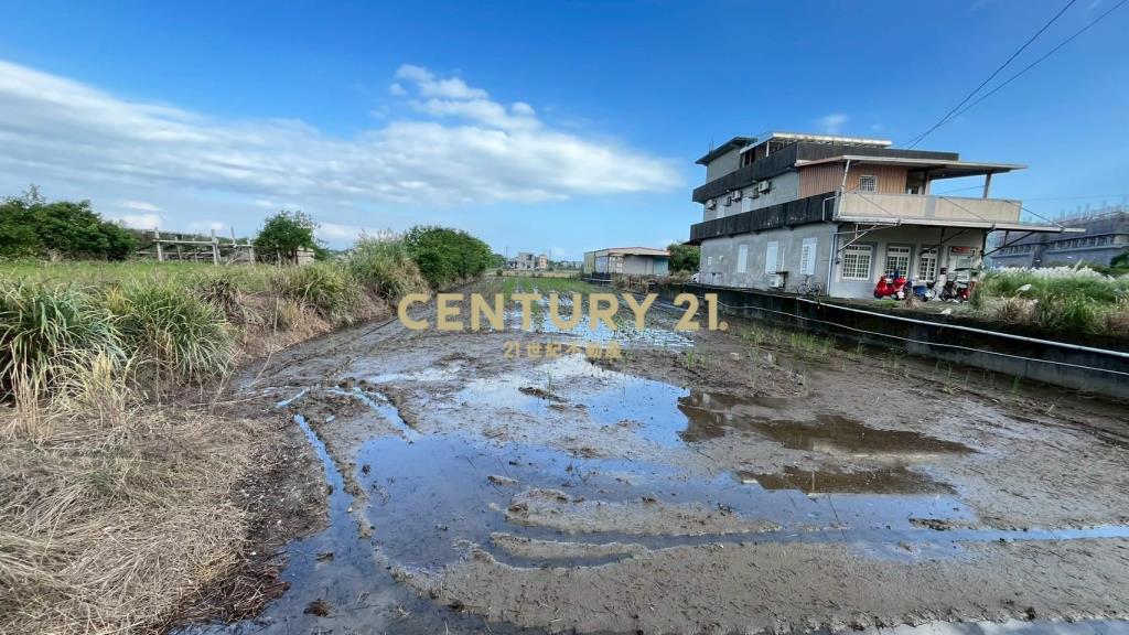 DC512蘇澳近濱海公路6米路旁方正美農