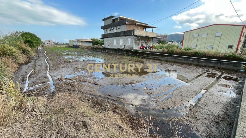 DC512蘇澳近濱海公路6米路旁方正美農